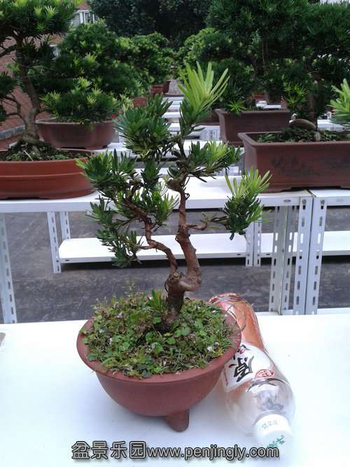 2013-09-07 17.06.47.jpg