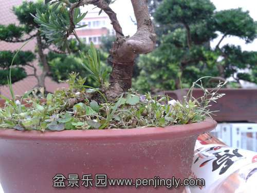 2013-09-07 17.07.56.jpg