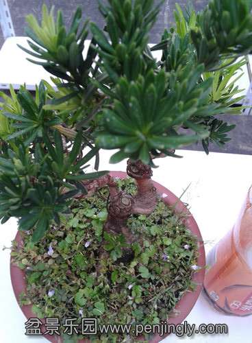 2013-09-07 17.05.49.jpg