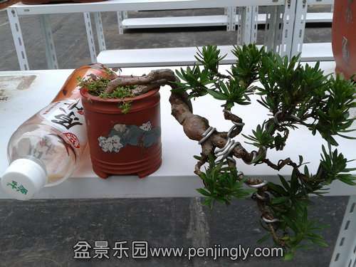 2013-09-07 17.09.30.jpg