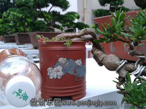 2013-09-07 17.10.06.jpg