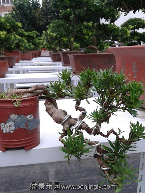 2013-09-07 17.11.10.jpg