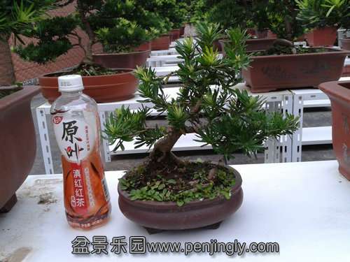 2013-09-07 17.26.49.jpg