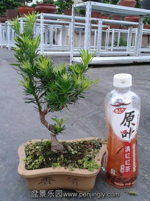 2013-09-07 17.22.38.jpg