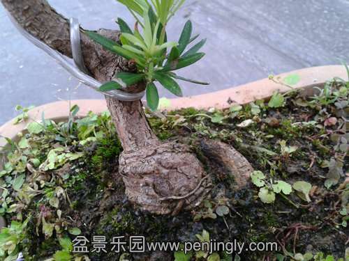 2013-09-07 17.23.06.jpg