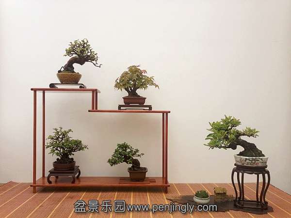 121103x55q1x47bjjq7bpb_jpg_thumb.jpg