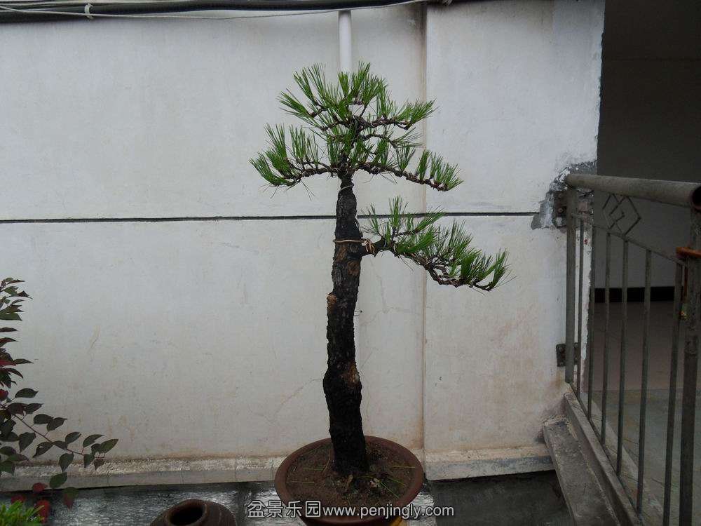 SDC10684.JPG