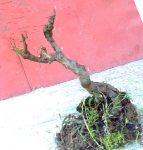 201101m1wuwu4ydu1cyc1c_jpg_thumb_.jpg