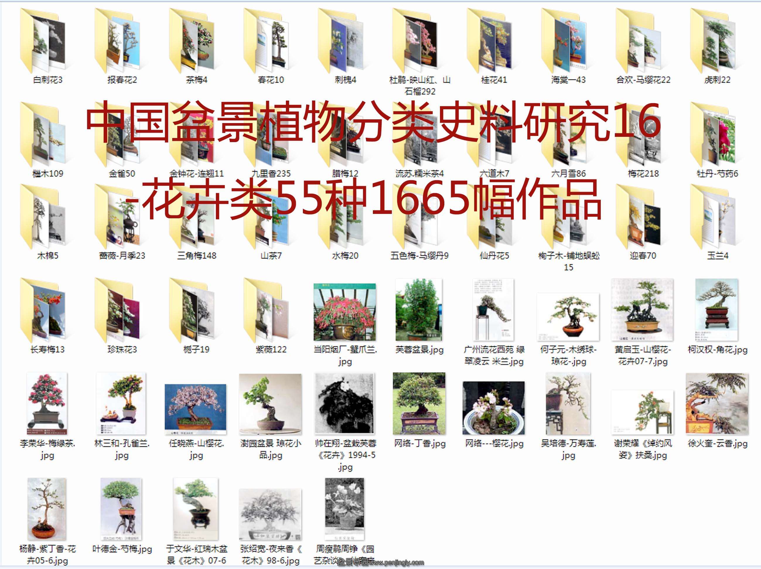 й辰ֲʷо-551665Ʒ  .jpg