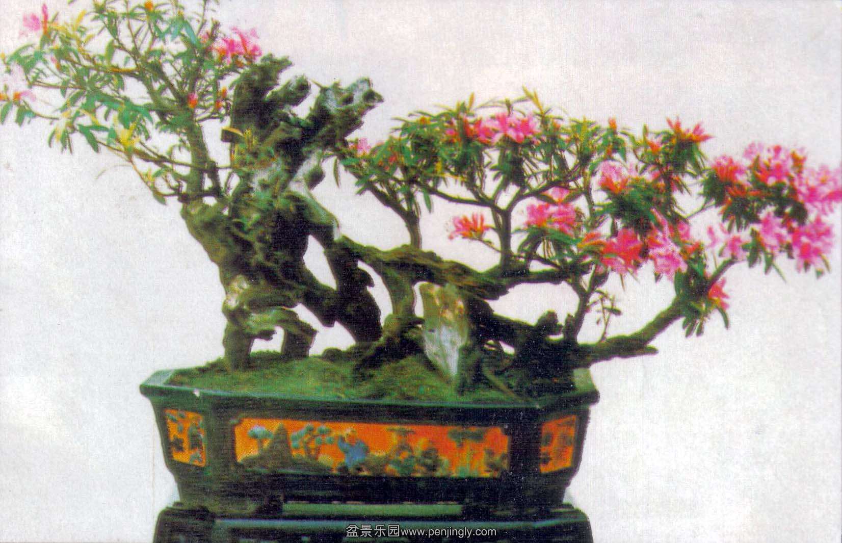 ľ辰92-3ڷ-ž.jpg