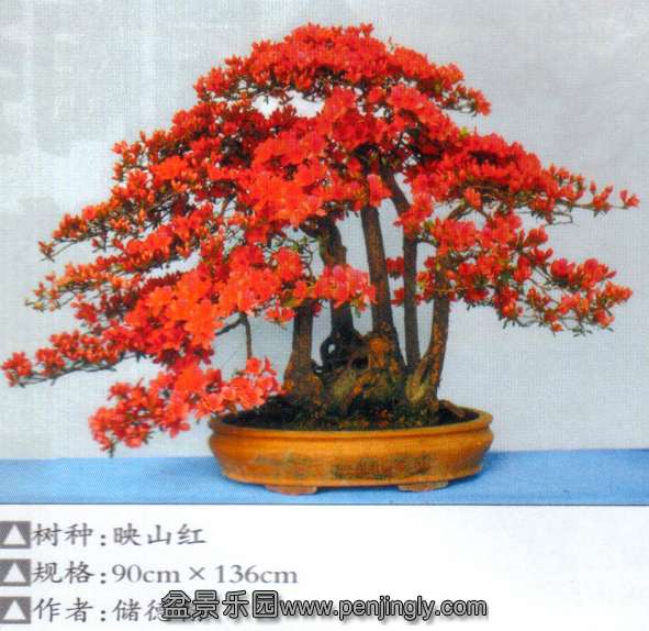 նž黨չ-º-ž.jpg