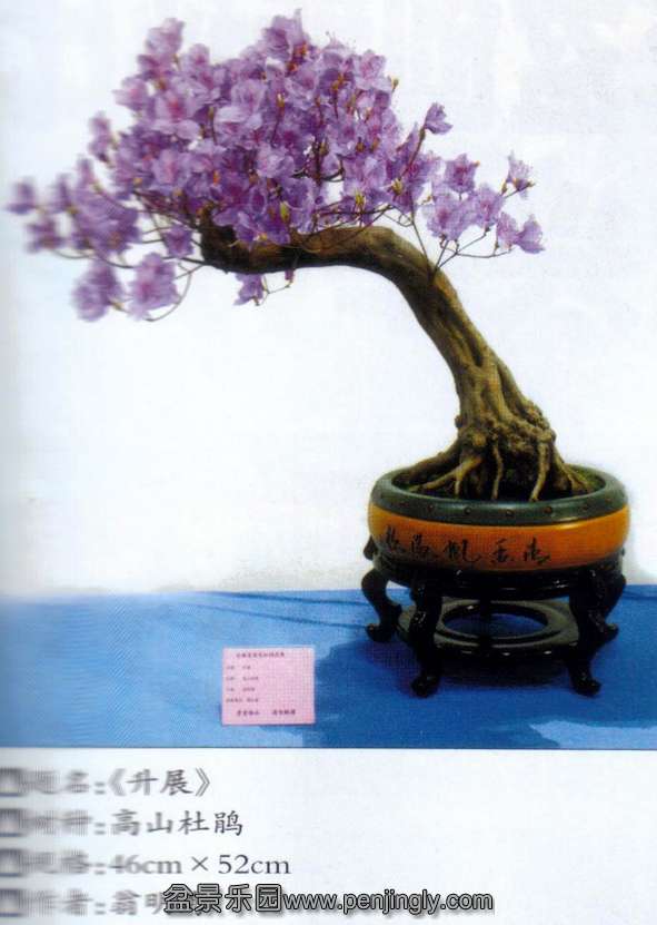 նž黨չ--ɽž.jpg