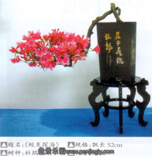 նž黨չ-ſ-ž.jpg
