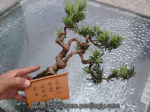 2013-09-08 17.29.01.jpg