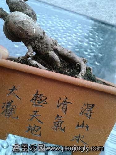 2013-09-08 17.28.10.jpg