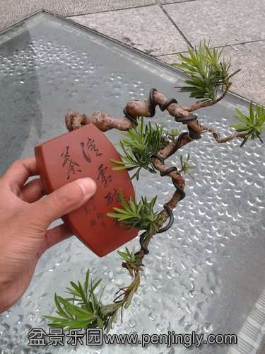 2013-09-08 17.40.06.jpg