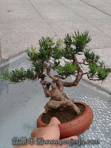 2013-09-08 17.33.35.jpg