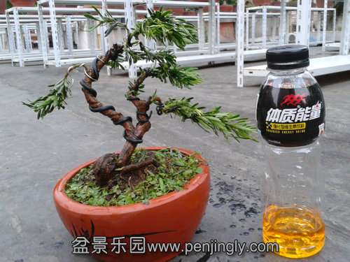 2013-09-09 17.49.28.jpg