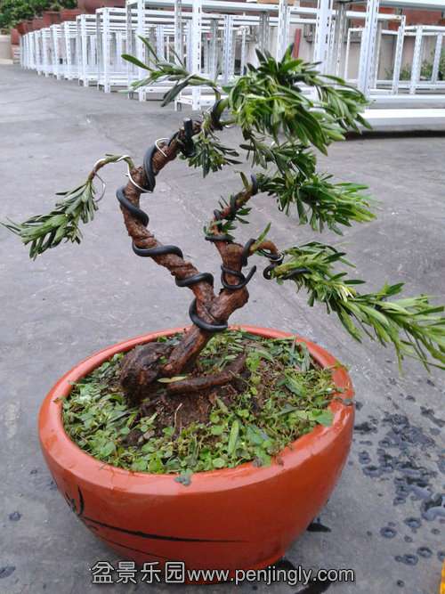 2013-09-09 17.49.41.jpg