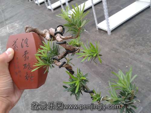 2013-09-09 17.39.23.jpg