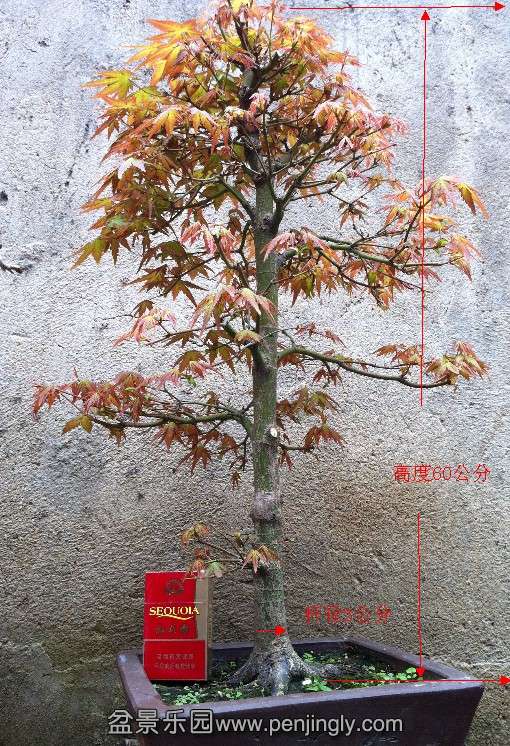 QQͼ20130910111733.jpg