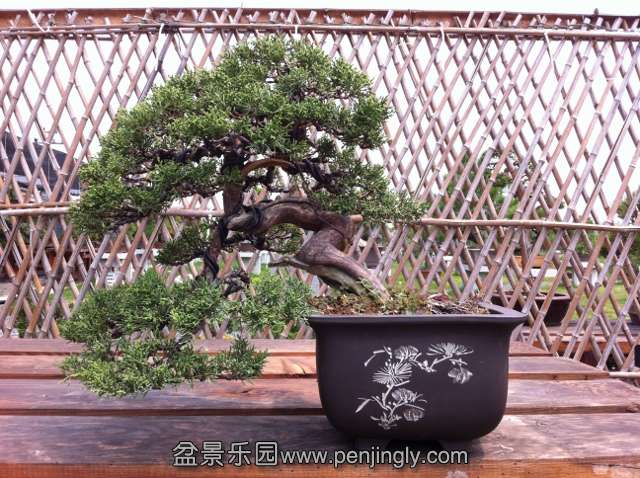IMG_1731 (640x478).jpg