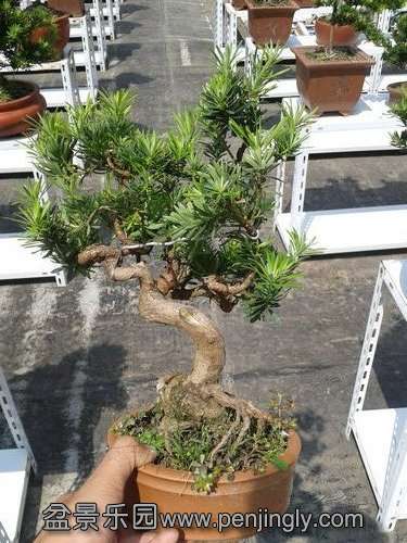 2013-09-09 12.42.16.jpg