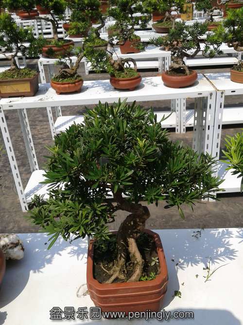 2013-09-09 12.49.25.jpg
