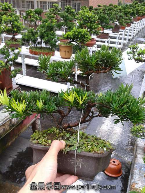 2013-09-05 13.40.37.jpg