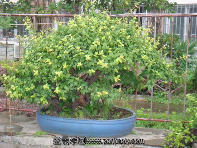DSC07979.JPG
