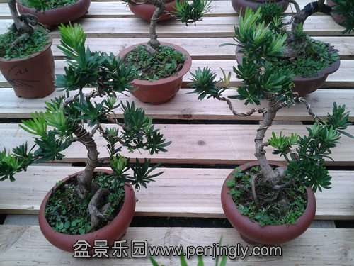 2013-09-11 12.39.50.jpg