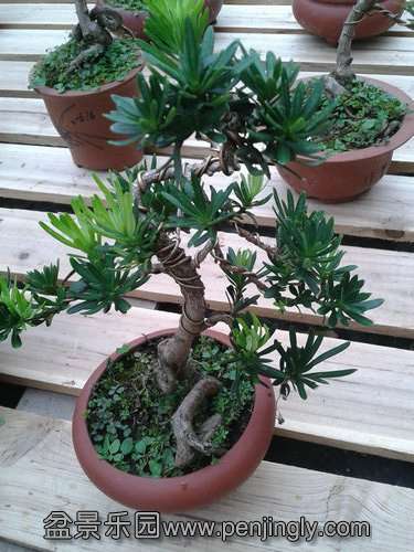 2013-09-11 12.40.01.jpg