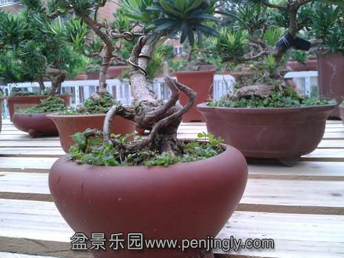 2013-09-11 12.40.18.jpg