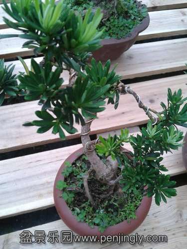 2013-09-11 12.40.39.jpg