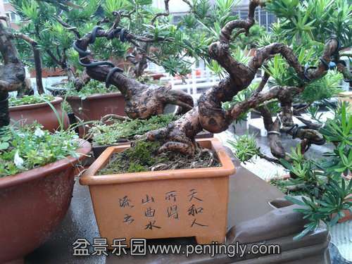 2013-09-11 14.31.23.jpg