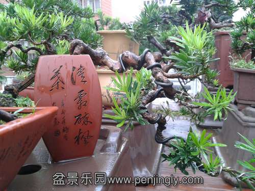 2013-09-11 14.45.17.jpg