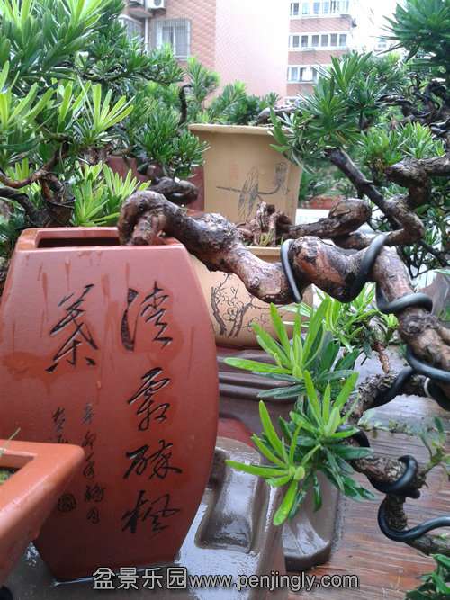 2013-09-11 14.47.01.jpg