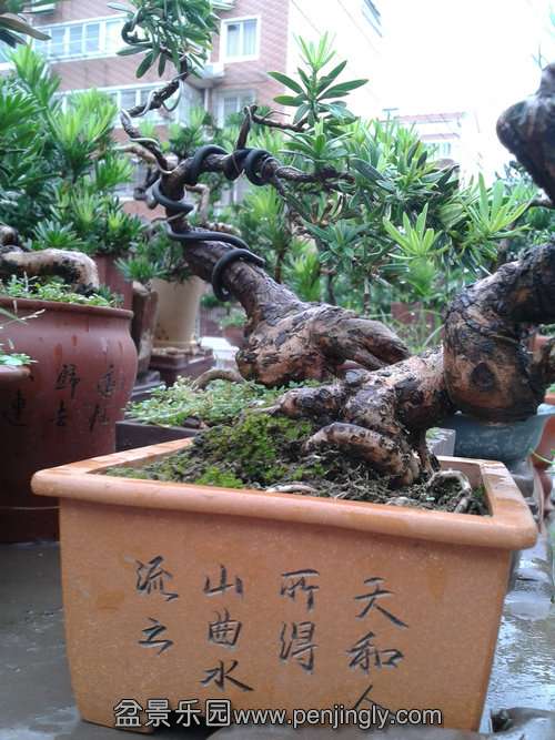 2013-09-11 14.49.05.jpg