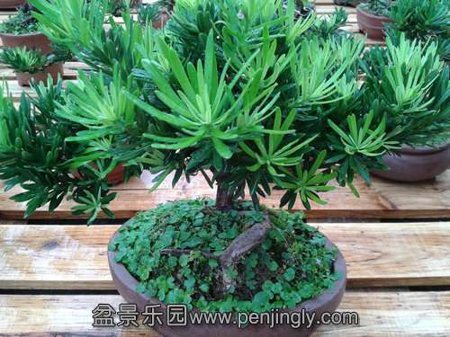 2013-09-11 14.50.23.jpg