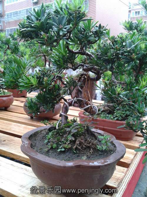 2013-09-11 14.51.14.jpg