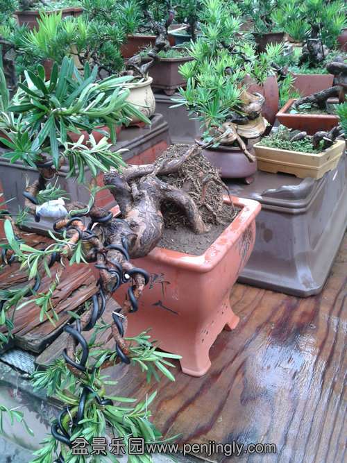 2013-09-11 14.43.41.jpg