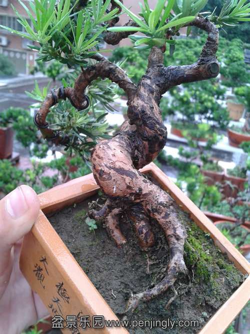 2013-09-11 14.32.20.jpg