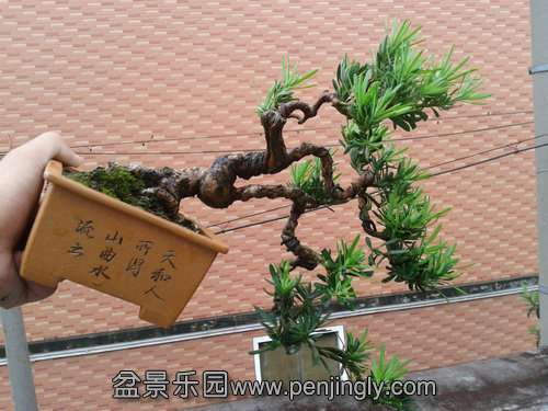 2013-09-11 14.40.30.jpg