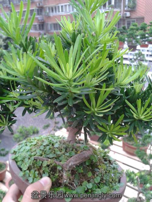 2013-09-11 12.41.22.jpg