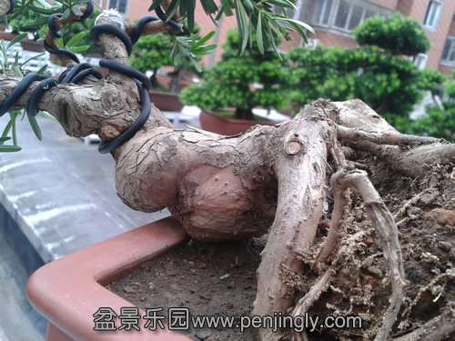 2013-09-11 12.28.30.jpg