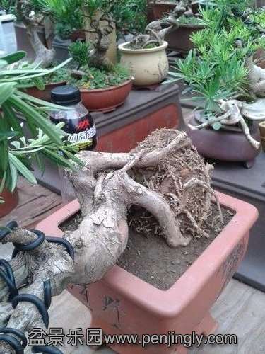 2013-09-11 12.31.45.jpg