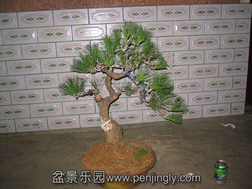 IMG_5912_.jpg