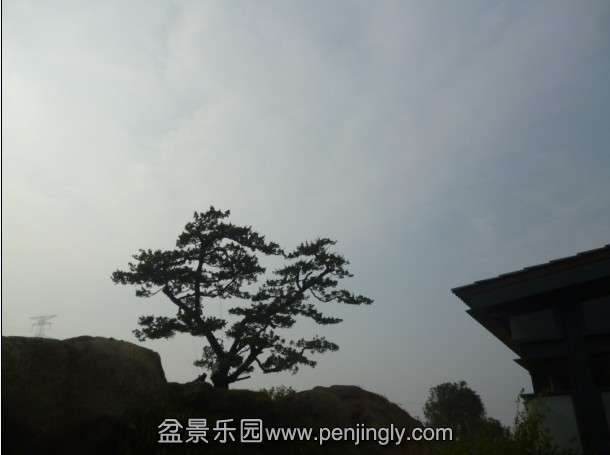 QQͼƬ20130912082121.jpg