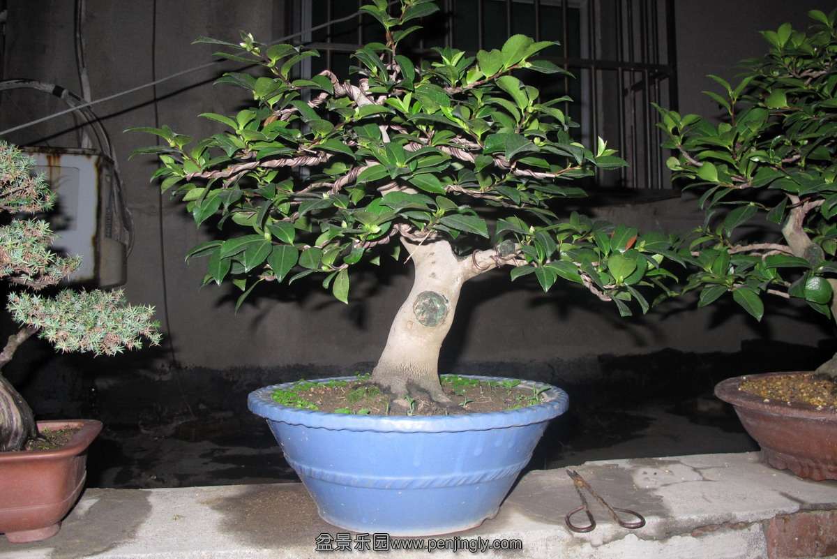 3.JPG