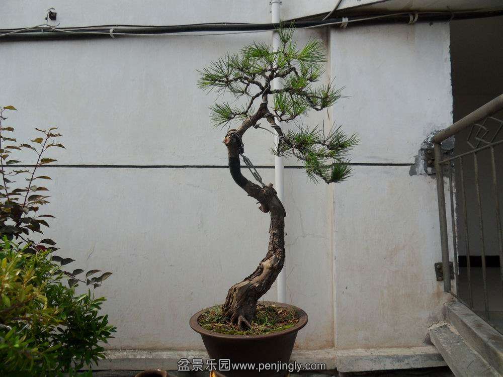 SDC10690.JPG
